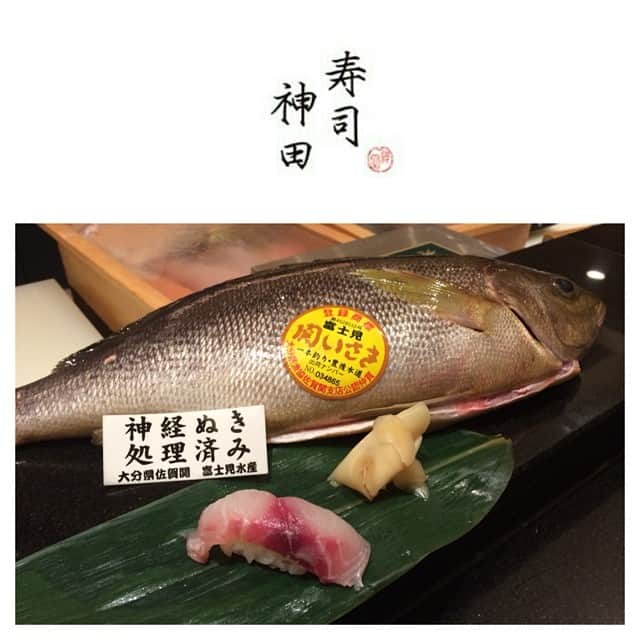 SUSHI KANDA • 寿司神田さんのインスタグラム写真 - (SUSHI KANDA • 寿司神田Instagram)「Special Isaki (seki Isaki)」6月28日 14時39分 - sushi.kanda