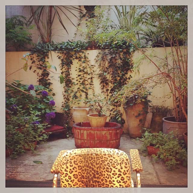 志摩有子さんのインスタグラム写真 - (志摩有子Instagram)「ヘアカットしながら眺めるこの景色が好き。雨に色鮮やかに映える紫陽花が美しい。#twiggy #美容院に来る日はまたしても雨 #haircut」6月28日 18時38分 - ariko418