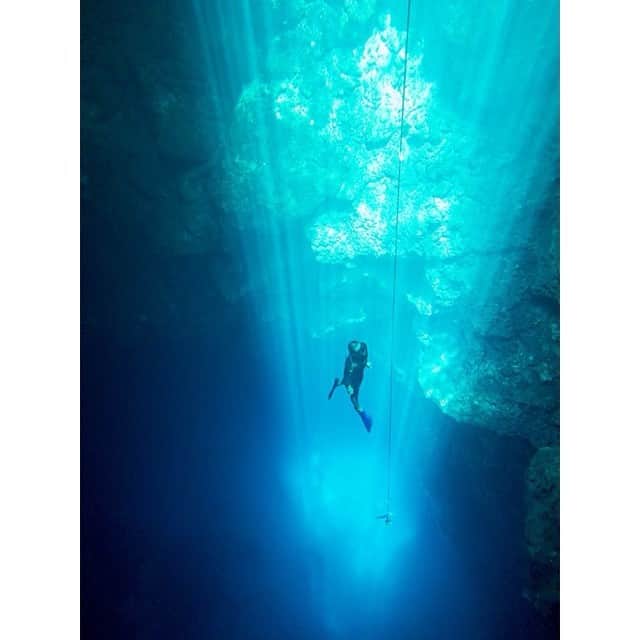 倉地美晴さんのインスタグラム写真 - (倉地美晴Instagram)「#Freediving #diving #cenote #playadelcarmen #mexico #worldtrip #trip #beauty #beautiful #blue」7月28日 3時41分 - miharu_kurachi