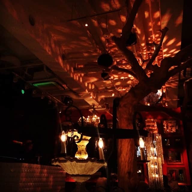 SU STAFFのグルメインスタ