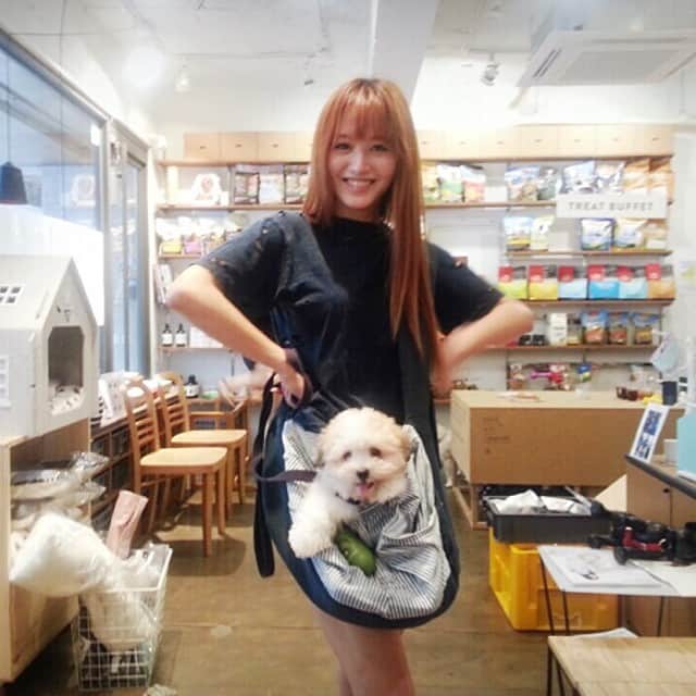 キム・ジェギョン さんのインスタグラム写真 - (キム・ジェギョン Instagram)「bag for MACARON!!!👜🐶👍 #jaekyung #macaron #마카롱입니다 #cotondetulear」7月19日 22時09分 - _kimjaekyung_