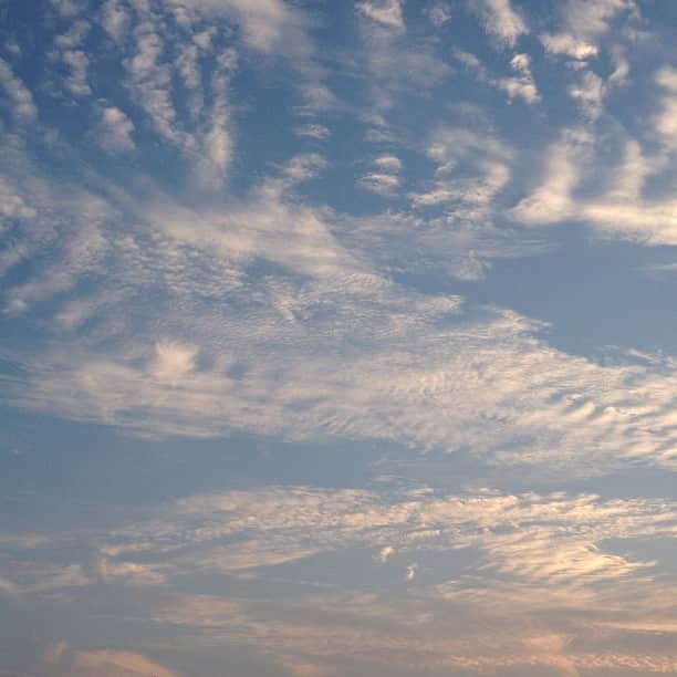のインスタグラム：「今日の空はなんだか夏らしくないなぁ…とても綺麗。風も出てきて気持ちのよい時間帯。ひぐらしも鳴いてる。しばし、テラスで休憩。」