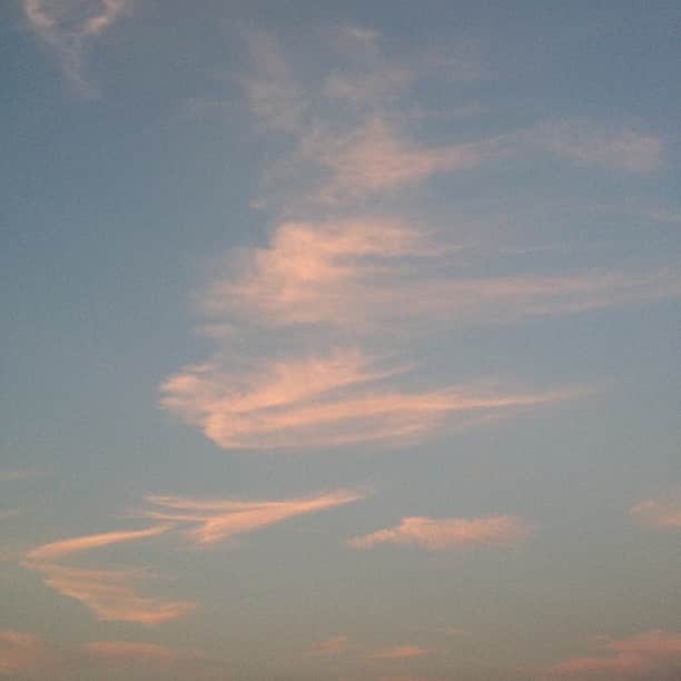 のインスタグラム：「今日も夕暮れの空は綺麗でした。夏のこの時間帯の空を見上げるのが好きです。 『すっきり、ていねいに暮らすこと』が５刷りになりました。読んでくださった皆様、本当にありがとうございます！」