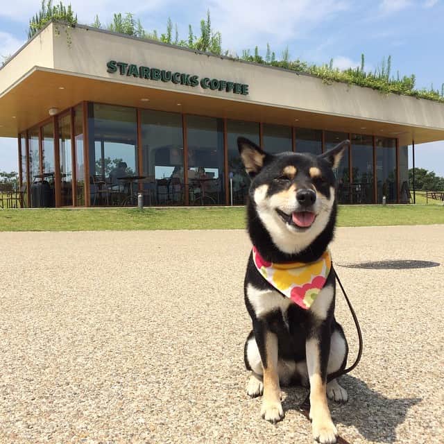 vo_coのグルメインスタ