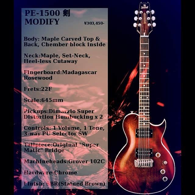 剣 のインスタグラム：「Profile of my guitar.」