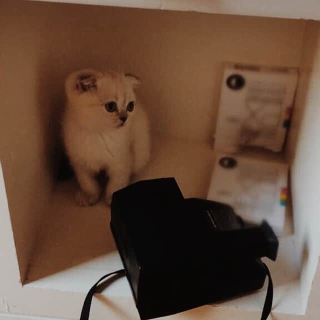 のインスタグラム：「5:00」