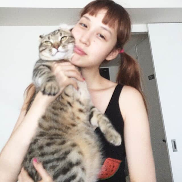 Bambiのインスタグラム：「こんなにちかいと恥ずかしいんだにゃ🙀😽❤️」