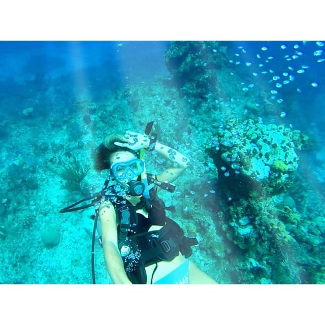 倉地美晴さんのインスタグラム写真 - (倉地美晴Instagram)「#Gopro #sea #diving #scuba #caymanisland #caymanbrac #reefdivers #beautiful」8月11日 7時56分 - miharu_kurachi