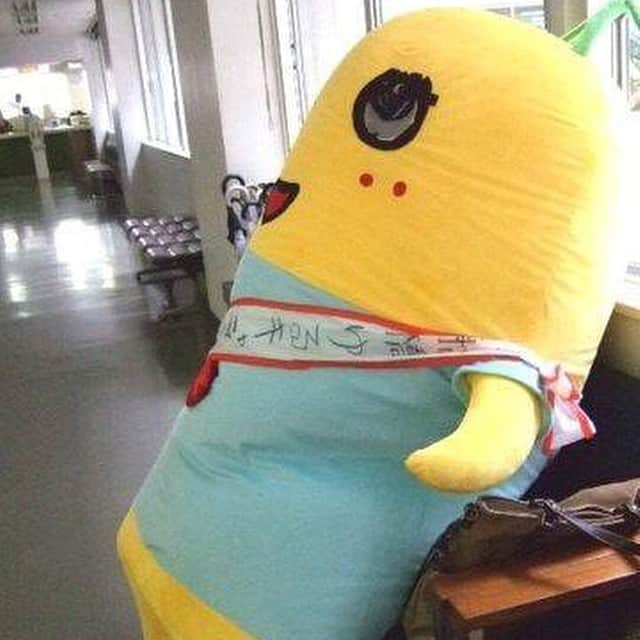 ふなっしーのインスタグラム：「のほほーんなっし〜😎😎😎👯」