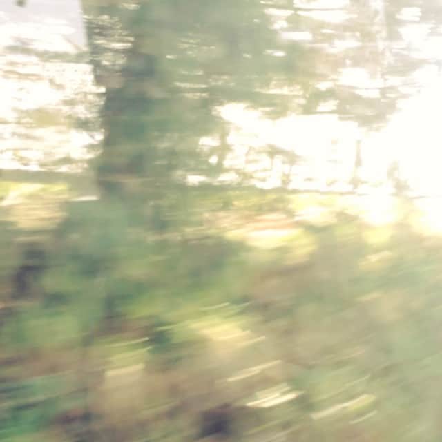 ネイサン・バーンズのインスタグラム：「Beautiful NewZealand country side. #bustrip #taupo #snow」