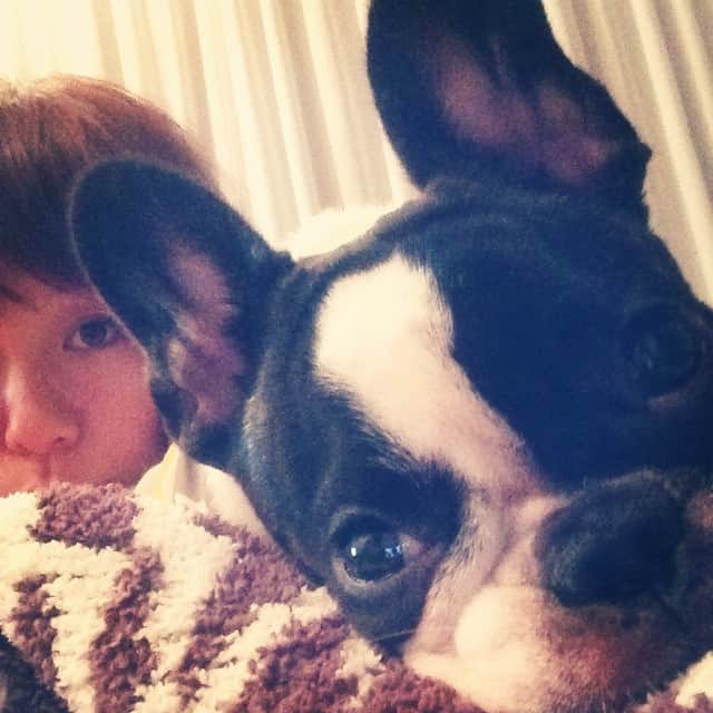 田中美保さんのインスタグラム写真 - (田中美保Instagram)「暇だね、モフ（笑）♥︎ #犬ばかりでごめんね #2人ダラダラ中 #自由 #暇 #遊びたい」9月13日 20時16分 - miho12tanaka
