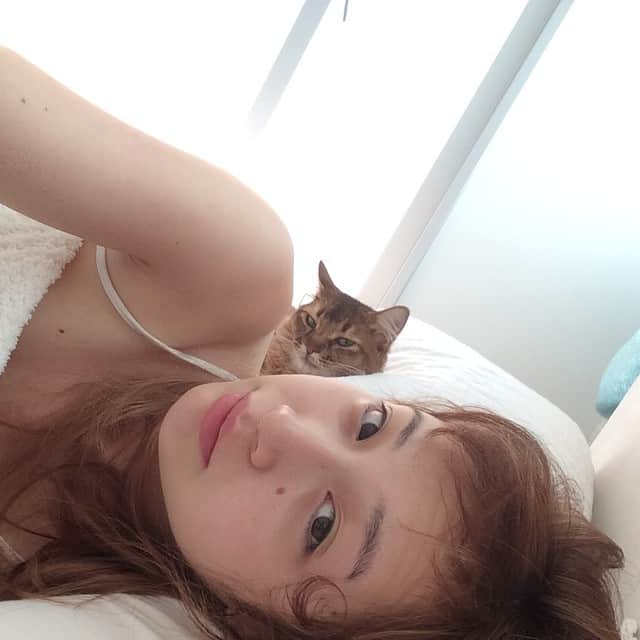 Bambiのインスタグラム：「ちっちょから送られてきた〜〜🙀🙀🙀 ぼくのゆかちゃんなのに〜😿」