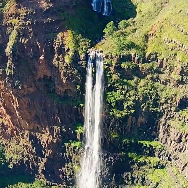 Cole Riseのインスタグラム：「Waipo'o Falls from the air - 800 feet of cascading ridiculousness in the heart of Waimea Canyon, Kauai. Fun fact: A tree "jumped out" in front of the drone when trying to land, resulting in a bit of a scary cliffside retrieval. Thankfully, both drone and your humble operator survived to bring you this footage. (@djiglobal + @litely)」
