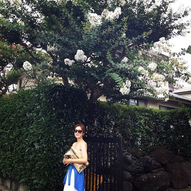 笛木優子のインスタグラム：「今日は涼しかったですな😃 #グリーンアンドコーリミテッド」