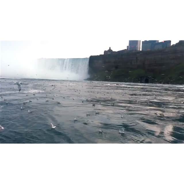 福田洋昭のインスタグラム：「#Hyperlapse into the Niagara Falls || @explorecanada  Song: Daughter - Lifeforms」