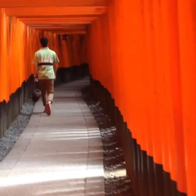Najiiのインスタグラム：「torii  #WHPtimelapse」