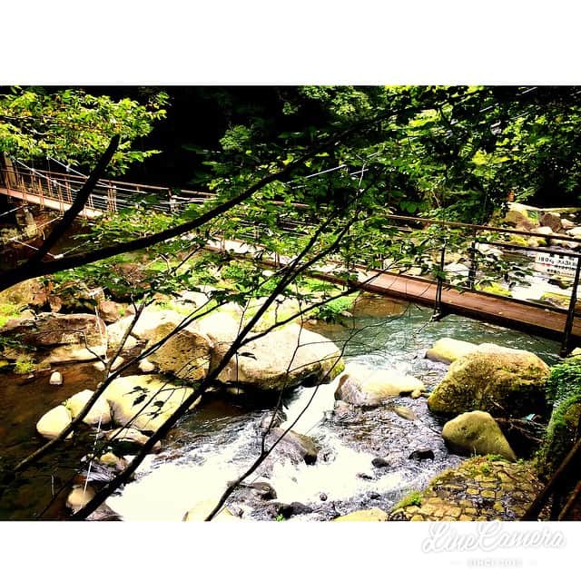 加藤章太郎さんのインスタグラム写真 - (加藤章太郎Instagram)「風が秋の薫り #miyanoshita #Hakone」9月5日 15時41分 - __shotaro__