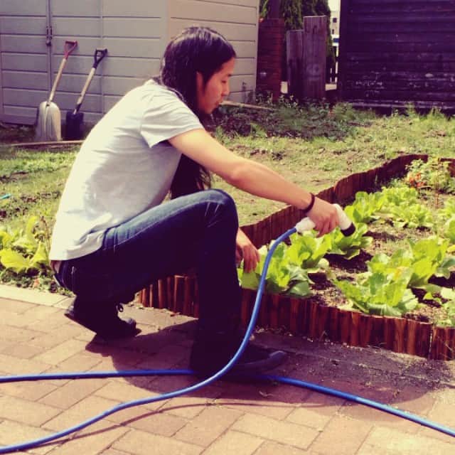 FOLKSのインスタグラム：「✴︎FOLKS FARM✴︎ 愛情込めて水やり中の野口」