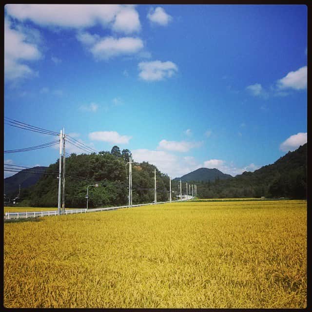 中本千尋さんのインスタグラム写真 - (中本千尋Instagram)「来年から移住する場所に遊びにきました。 やはり素敵な所。 #三田 #千丈寺湖 #有馬富士」9月7日 15時36分 - chihiro_nakamoto
