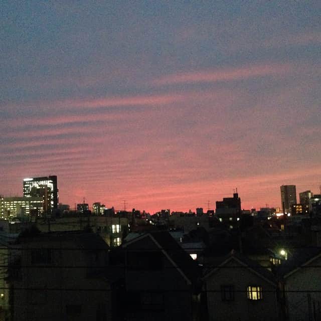 柳下毅一郎さんのインスタグラム写真 - (柳下毅一郎Instagram)「sunset」10月10日 17時38分 - garth_y