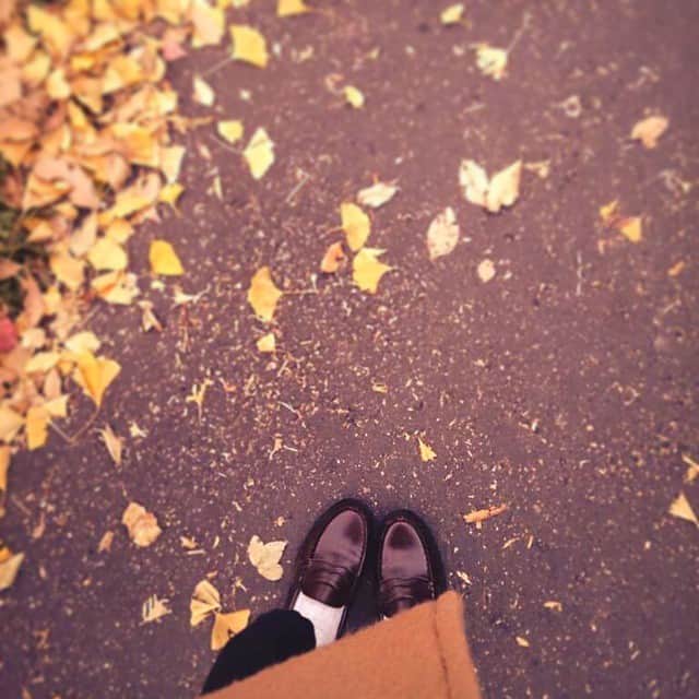 鹿目凛さんのインスタグラム写真 - (鹿目凛Instagram)「去年の秋の出来事」9月18日 1時29分 - perorin0921