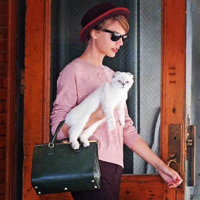 オリビア・ベンソン（テイラースウィフト）のインスタグラム：「Oh, Meredith... Hun.... Don't be jealous... I can't help that I'm so photogenic.」