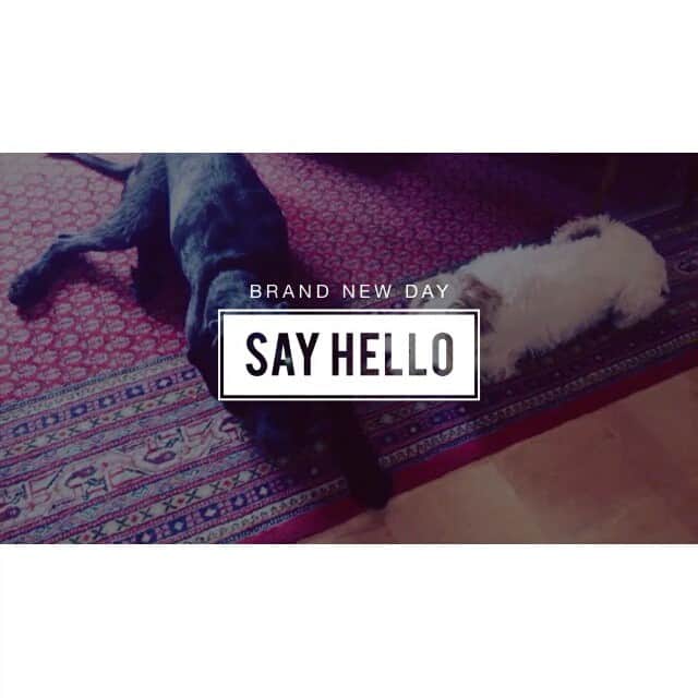 ジエ のインスタグラム