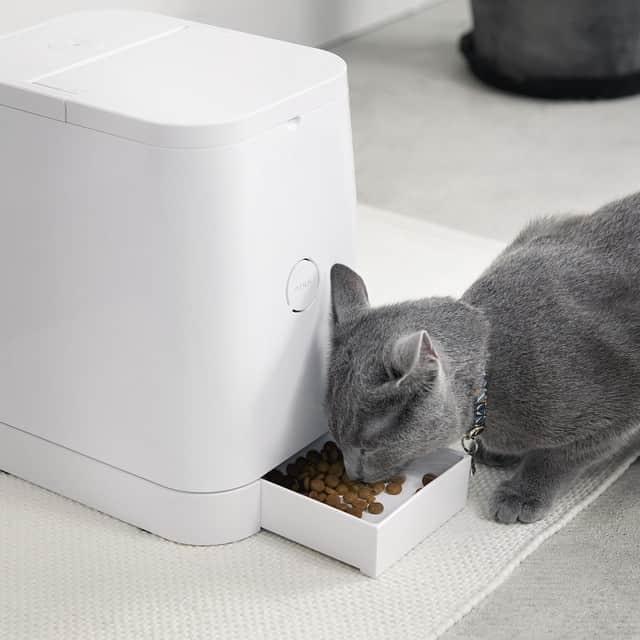 PETLYのインスタグラム：「#petly #petfeeder #自動給餌器 #cat #catsofinstagram #catscatscatscats #猫 #minimalist #minimal #RINN」