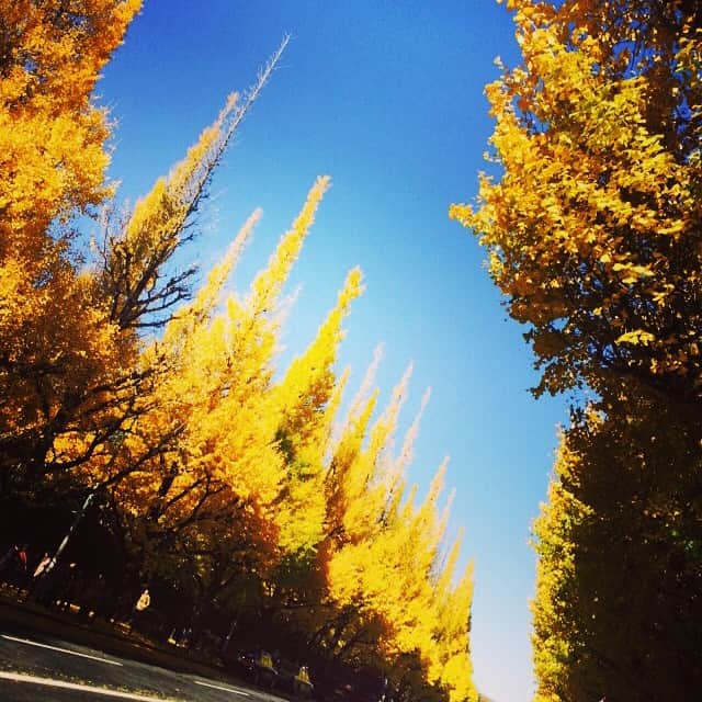 広瀬奈々美さんのインスタグラム写真 - (広瀬奈々美Instagram)「autumn leaves♪ beautiful♡」11月28日 0時06分 - nanami_hirose