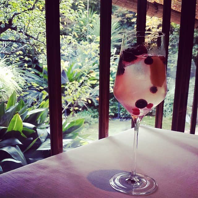 辰巳奈都子のグルメインスタ