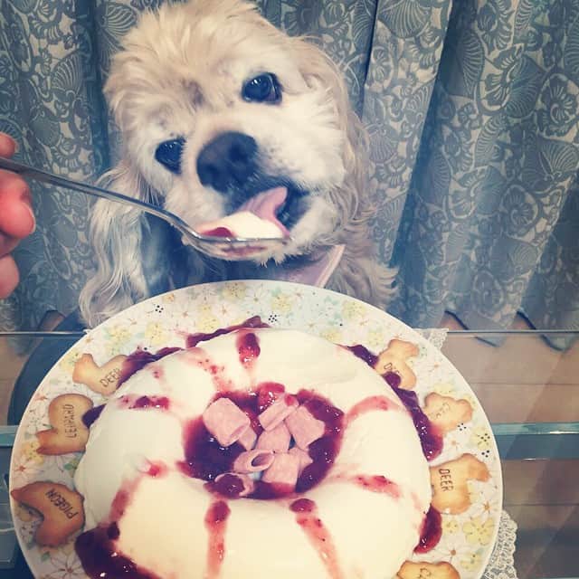 笛木優子のインスタグラム：「11歳になりました🎀😁💕 手作りケーキ🎂✨🎉🎁💝🎶🍰」