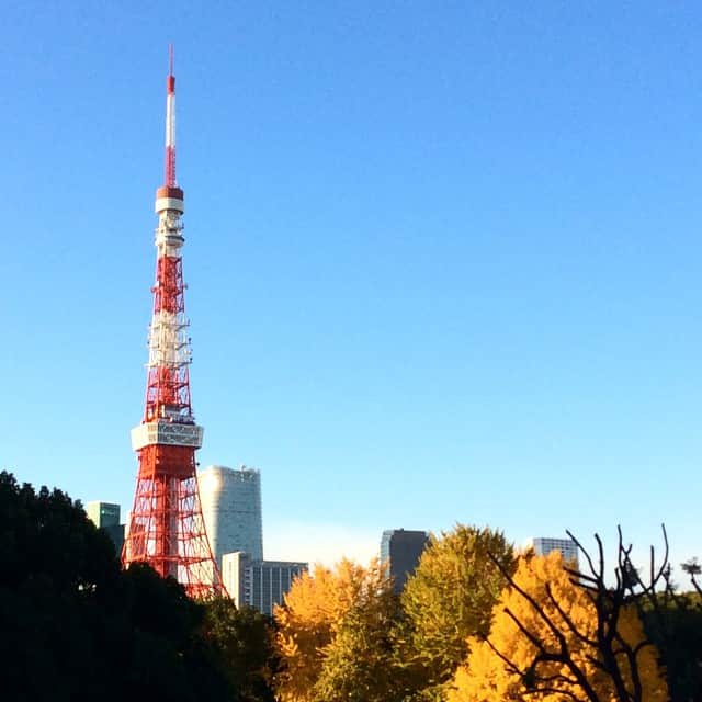 柴咲コウさんのインスタグラム写真 - (柴咲コウInstagram)「#Tokyo #紅葉 #一刻館」12月3日 15時38分 - ko_shibasaki