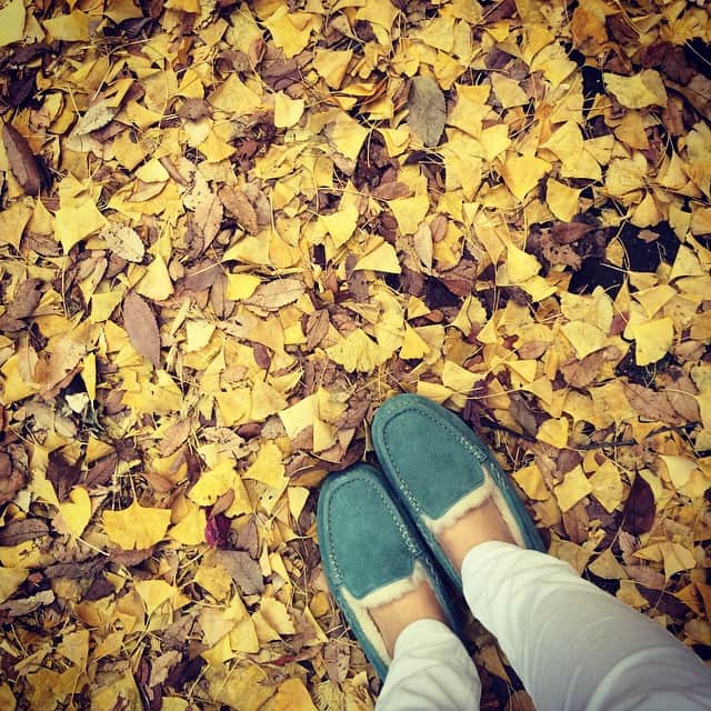 笛木優子のインスタグラム：「良い天気ですね！🍁🍂🌾🍃☀️ 昨日は見てくれて感想もありがとうです😉 良い日曜日を…😘😁💕」