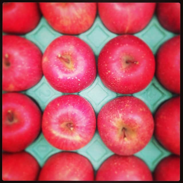 志摩有子さんのインスタグラム写真 - (志摩有子Instagram)「1日に一個林檎を食べると風邪を引かないそう。風邪っ引きにタイミングよく届いた可愛い富士はもう香りから甘くて爽やか❤️ #apple #thankyou  #林檎  #蜜たっぷり  #もう引いちゃってるけど」12月12日 9時25分 - ariko418