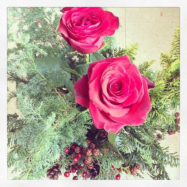 志摩有子さんのインスタグラム写真 - (志摩有子Instagram)「忙しくてツリーを用意出来なかった今年、素敵なお花を頂きました💕これで我が家も一気にXmas気分🎄🎄ありがたやー💕 #Xmas #thankyou」12月15日 10時36分 - ariko418