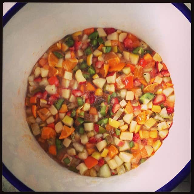 志摩有子さんのインスタグラム写真 - (志摩有子Instagram)「10種類のフルーツを刻んで自家製酵素作りに挑戦。10リットルのホウロウタンクを使用。どんな味に出来上がるのか楽しみ。完成は2週間後の予定。」12月20日 11時22分 - ariko418