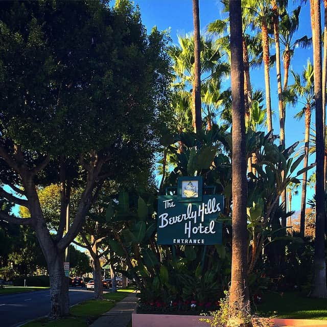 シーシースカイのインスタグラム：「Quintessential Los Angeles 🌴 #LosAngeles #LA #BeverlyHillsHotel」