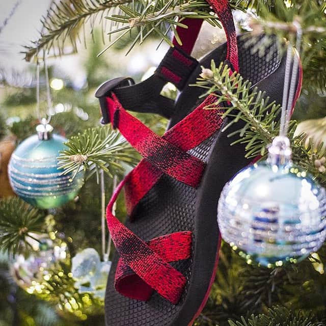 チャコのインスタグラム：「Merry Christmas from #chaco #チャコ」