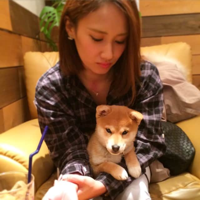 Moguのグルメインスタ