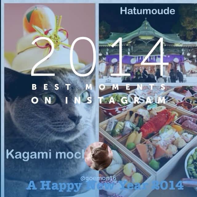 ミーちゃんのインスタグラム：「今年も一年ありがとうございました。来年もまた宜しくお願い致します。」