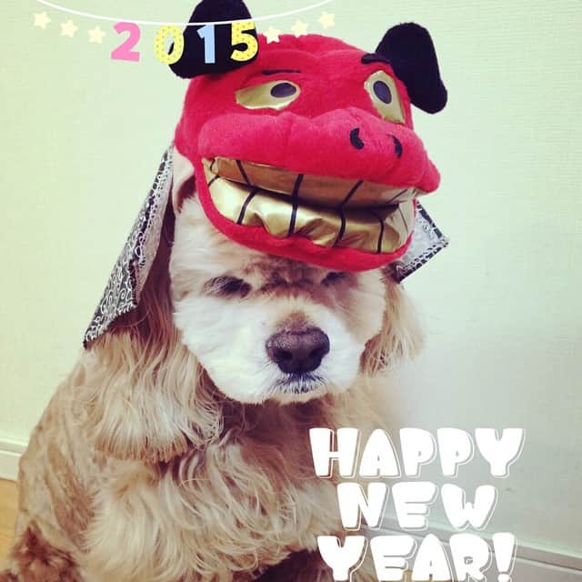 笛木優子のインスタグラム：「みなさま、あけましておめでとうございます😘 今年も何事も全力で頑張ります！どうぞよろしくお願いします😊 みなさまにとって素晴らしい一年となりますように✨ 良いお正月を💖 새해복많이받으세요~~💕올해 모든일잘되시길바래요 늘 행복하고 건강하세요💛」