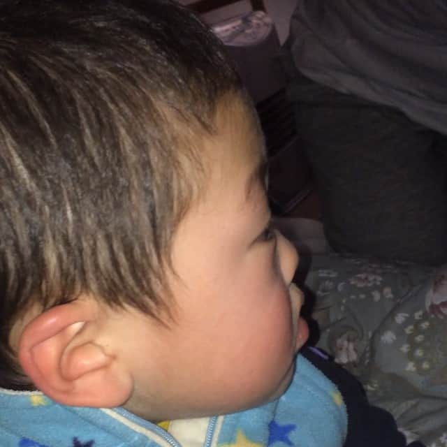 田口成浩のインスタグラム：「#龍#眠い#おかあさんといっしょ#わんわん大好き」