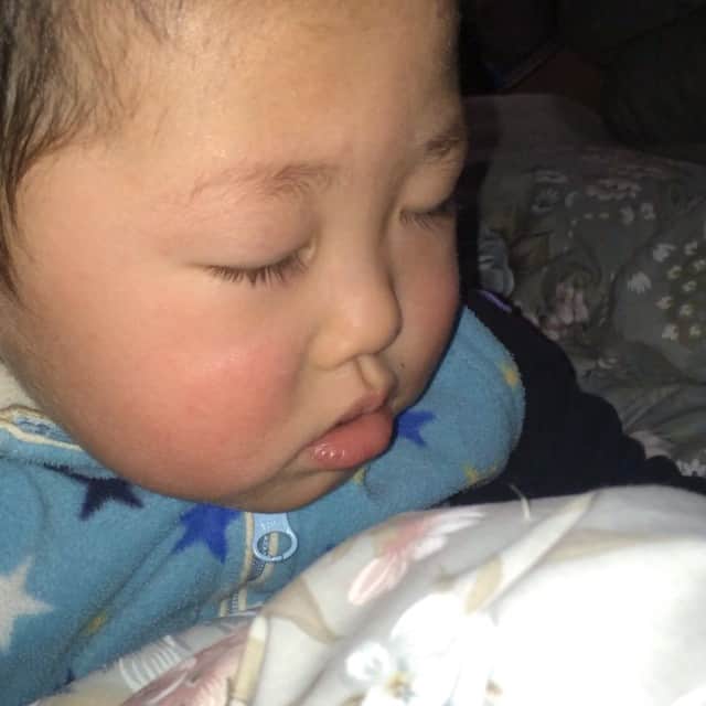 田口成浩のインスタグラム：「#龍#眠い#おかあさんといっしょ#わんわん大好き」