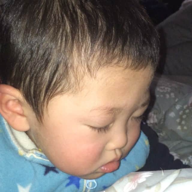 田口成浩のインスタグラム：「#龍#眠い#おかあさんといっしょ#わんわん大好き」