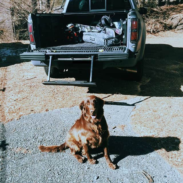 松田翔太さんのインスタグラム写真 - (松田翔太Instagram)「Let's go skiing! #raptor #FlatcoatedRetriever」1月3日 18時44分 - shota_matsuda