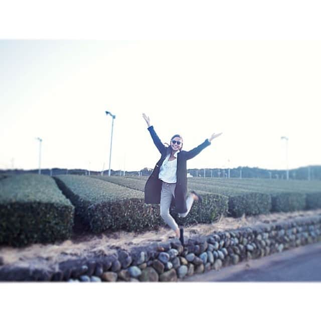 里見茜のグルメインスタ