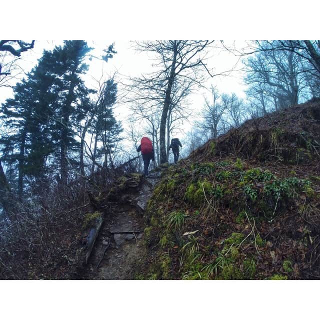 カーラ・モナコのインスタグラム：「Hiking with @a_klinger. 📷 @miked_304 #AppalachianTrail」