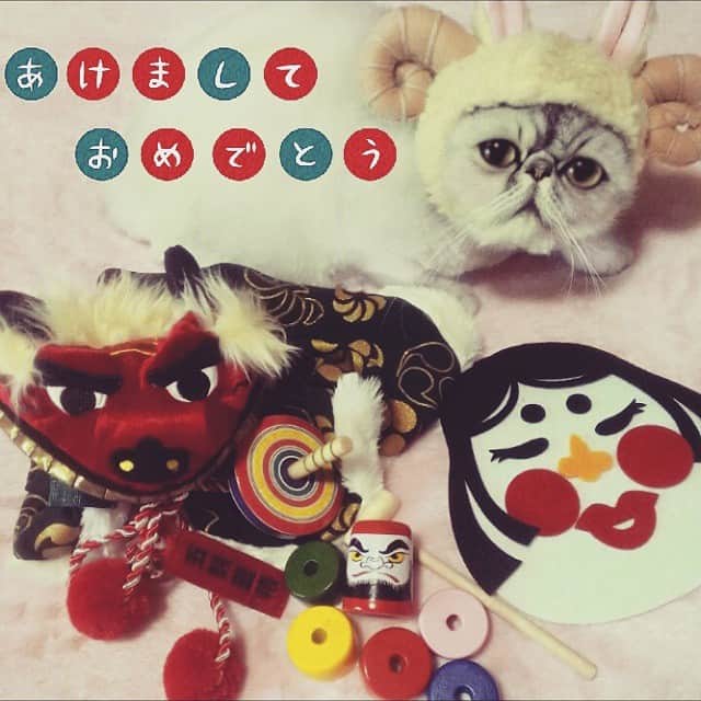 ♡マム♡のインスタグラム：「A Happy new year☆⌒。゜。 . Sheep・sheep・sheep・year～!! . Mｅ~e~ｅ~e~ｅ~e~ｅ~e~。 . . . 皆さん、遅くなりましたが… 新年あけましておめでとうございます♪ . 今年もヨコたん、らるむ、マムをどうぞよろしくお願い致しますヽ(´▽｀)/ . 今年の初めの写真は羊らるちゃんと日本のお正月を集めてみましたw . 今年も皆さんにとってステキな１年になりますように…☆ . たくさんの方に出会えますように…☆ . . 「 あけおメェェェェェェ～でしゅ(ら 」 (ヾ(´・ω・｀)」