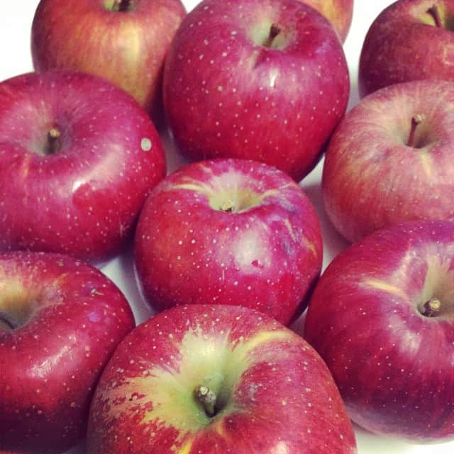 MICHIRUさんのインスタグラム写真 - (MICHIRUInstagram)「I bought a lot of apple☆ #NaturalFarming いつも実家の帰り道の#吾妻渓谷 近くで立ち寄るリンゴ屋さん。 看板に波動のリンゴって書いてあるので聞いてみると、オーリングテストをしているそう。化学肥料、有機肥料、除草剤をつかわない、農薬もできるだけ使わない。 環境、健康を考えた農法で作ってくれてありがたい。 ついでに気功で身体を調整してもらっちゃった。 #群馬名月 も買っとけばよかったなぁ。 #自然農法 #エコファーマー認定 #中島農園」1月5日 10時46分 - barbiemichiru