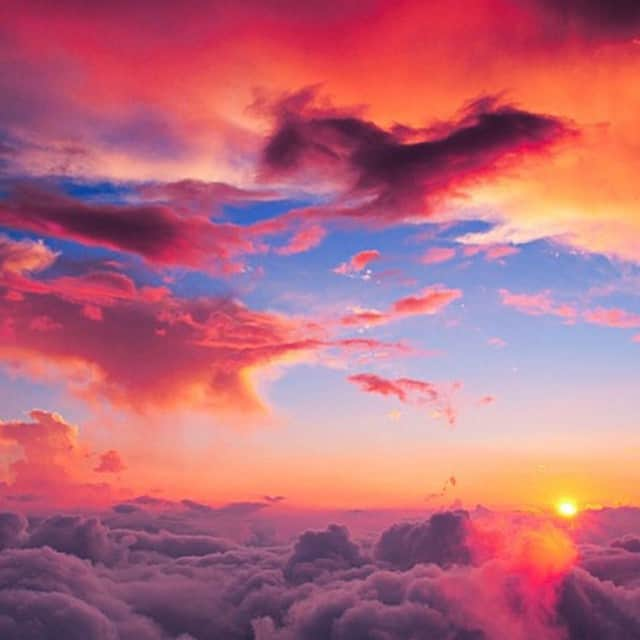 チェルシーフラワーのインスタグラム：「My head is still in the clouds this Monday morning! #Mondays #bringbackmyvacation #travel #work #2015 #happynewyear #sunrise #sunset #inspire #colors #love #seizetheday」